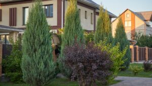 Don’t forget the finished landscaping